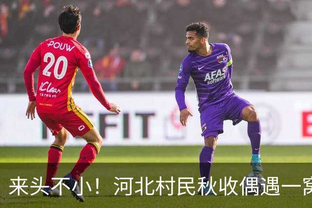 来头不小！河北村民秋收偶遇一窝幼崽，身份不简单，立马让地停收